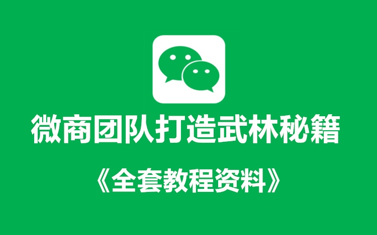 微商团队打造秘籍+《全套课件教程》