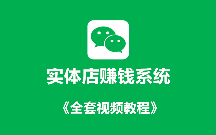 实体店赚钱系统+《全套视频教程》