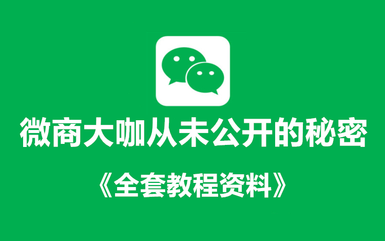 微商大咖从未公开的秘密+《全套课件教程》