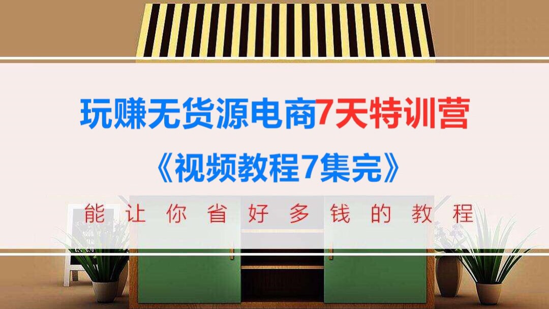 玩赚无货源电商7天训练营