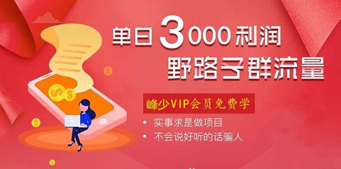 [给力项目] 野路子群流量项目：稳定之后可实现日盈利3000-5000，轻松实现月入3万+