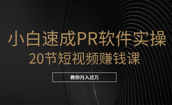 小白速成PR软件实操：20节短视频赚钱课，教你月入过万