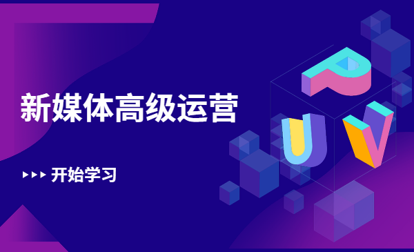 新媒体高级运营