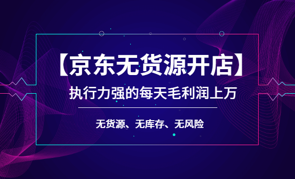 【京东无货源开店】执行力强的每天毛利润上万，无货源、无库存、无风险